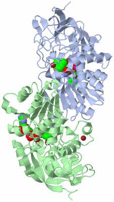 Image Biological Unit 1