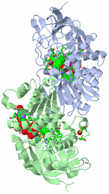 Image Biol. Unit 1 - sites