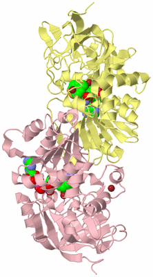 Image Biological Unit 2