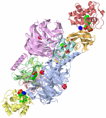 Image Biological Unit 1