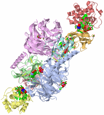 Image Biol. Unit 1 - sites