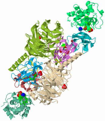 Image Biological Unit 2