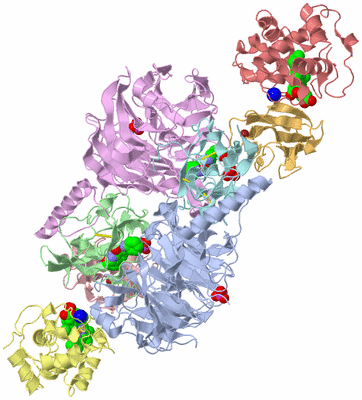 Image Biological Unit 1