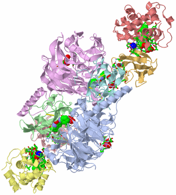 Image Biol. Unit 1 - sites