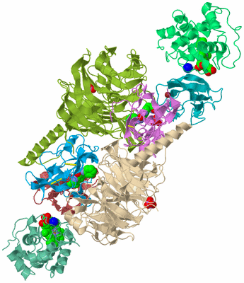 Image Biological Unit 2