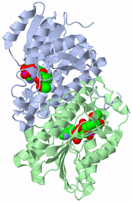 Image Asym./Biol. Unit