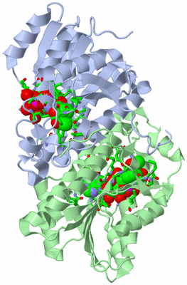 Image Asym./Biol. Unit - sites