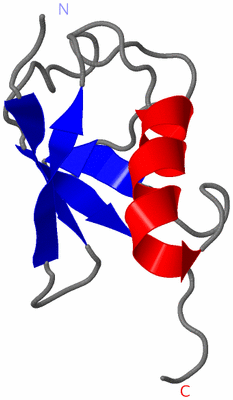 Image NMR Structure - model 1