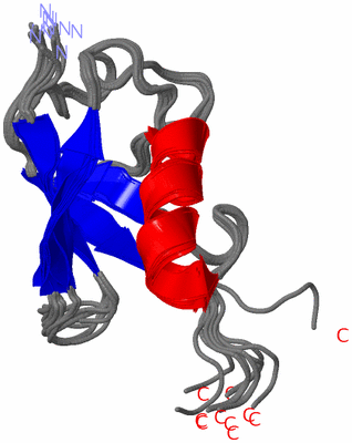 Image NMR Structure - all models