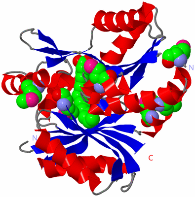 Image Asym./Biol. Unit