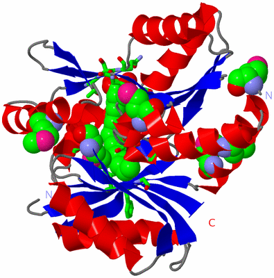 Image Asym./Biol. Unit - sites