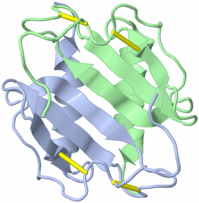 Image NMR Structure - model 1