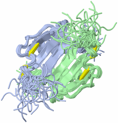 Image NMR Structure - all models