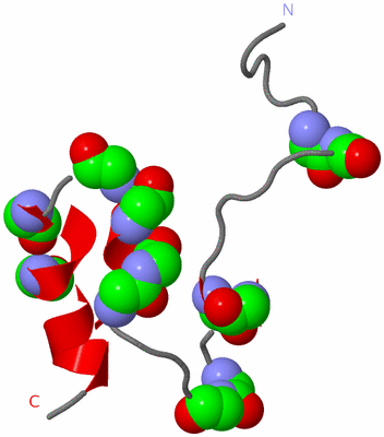 Image NMR Structure - model 1