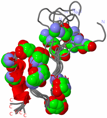 Image NMR Structure - all models