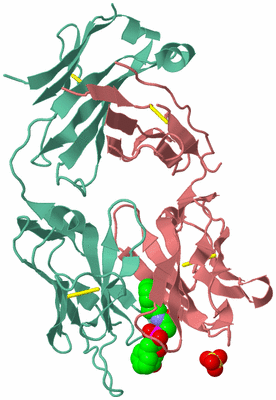 Image Biological Unit 2