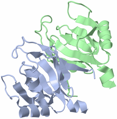 Image NMR Structure - model 1