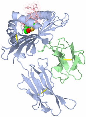 Image Biological Unit 1