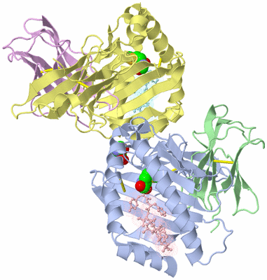 Image Biological Unit 3