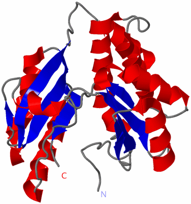 Image Theoretical Model