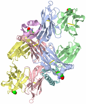 Image Asymmetric Unit