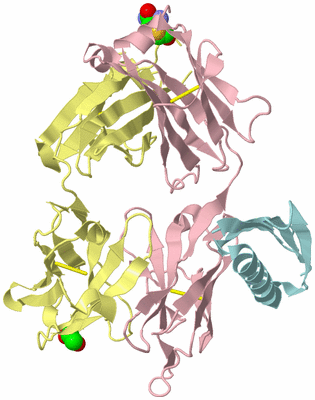 Image Biological Unit 2