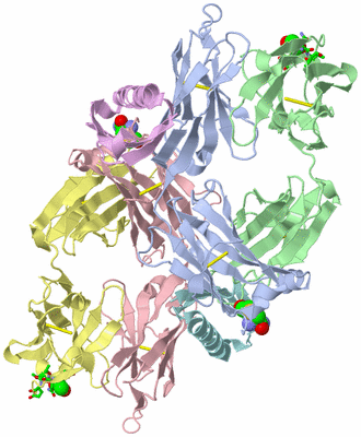 Image Asym. Unit - sites