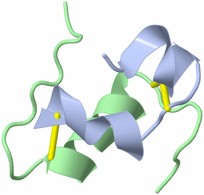 Image NMR Structure - model 1