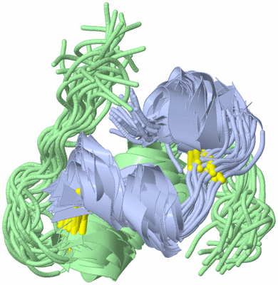 Image NMR Structure - all models