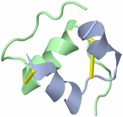 Image NMR Structure - model 1