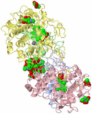 Image Biological Unit 1