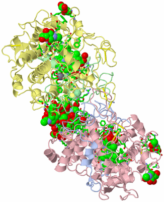 Image Biol. Unit 1 - sites