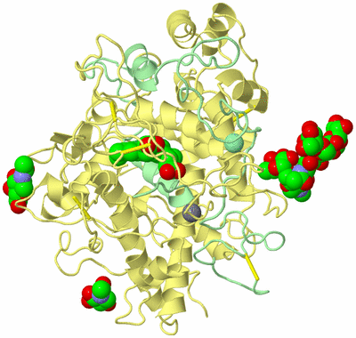 Image Biological Unit 2