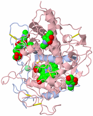 Image Biological Unit 3