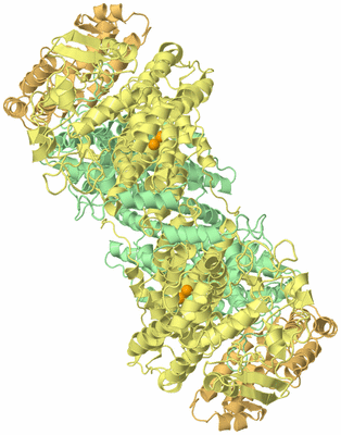 Image Biological Unit 1