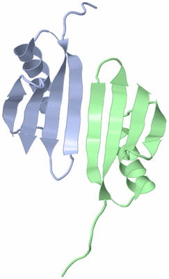 Image Asymmetric Unit