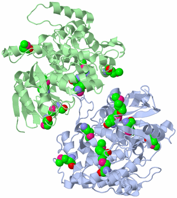 Image Asym./Biol. Unit