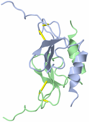 Image NMR Structure - model 1