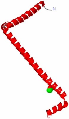 Image Asymmetric Unit