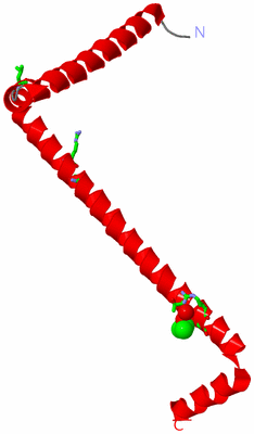 Image Asym. Unit - sites