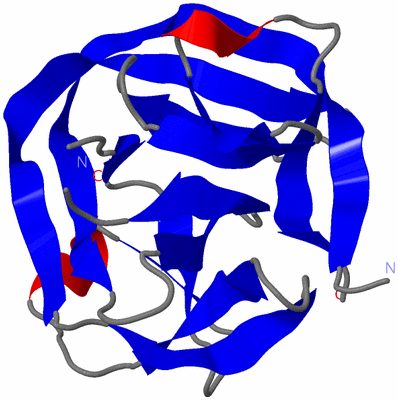 Image Asymmetric Unit