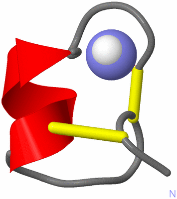 Image NMR Structure - model 1