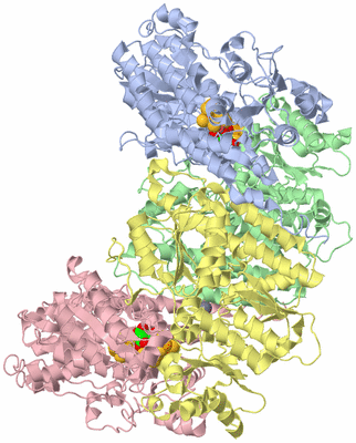 Image Asym./Biol. Unit