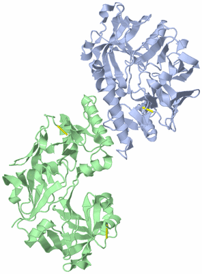 Image Asymmetric Unit
