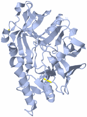 Image Biological Unit 1