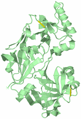 Image Biological Unit 2