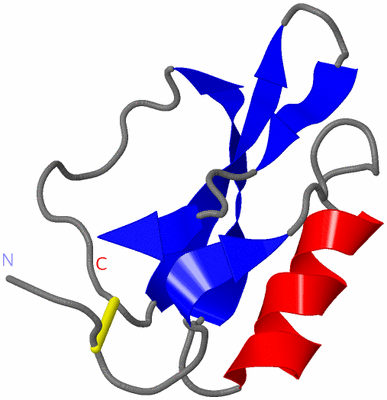 Image NMR Structure - model 1