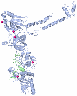 Image Biological Unit 1