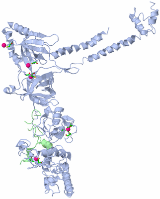 Image Biol. Unit 1 - sites