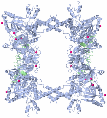 Image Biological Unit 2